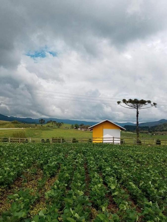 Cabana Caminho Das Borboletas Bom Retiro  Exterior foto